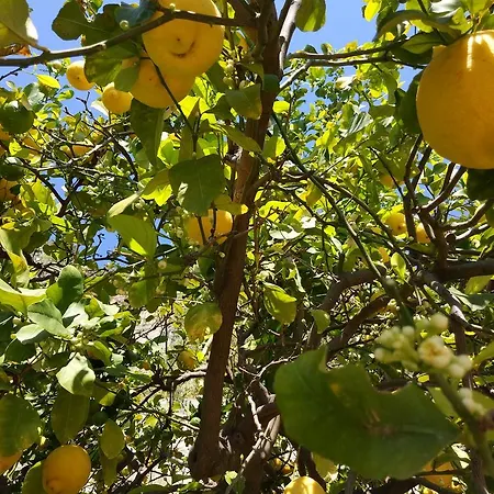 게스트하우스 Isola Bella - Il Pescatore 3*