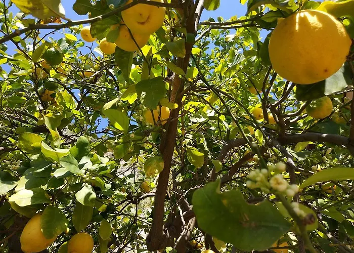Konukevi Isola Bella - Il Pescatore 3*